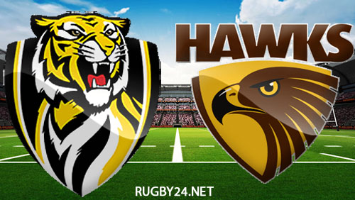 Richmond Tigers vs Hawthorn Hawks 14.08.2022 AFL Full Match Replay
