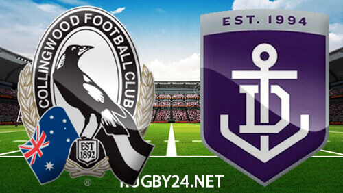 Collingwood Magpies vs Fremantle Dockers July 15, 2023 AFL Full Match Replay
