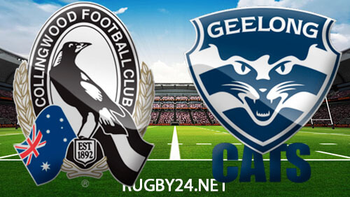 Collingwood Magpies vs Geelong Cats August 11, 2023 AFL Full Match Replay