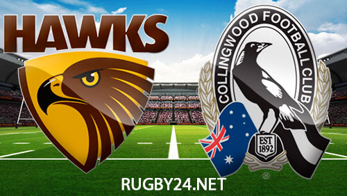 Hawthorn Hawks vs Collingwood Magpies August 5, 2023 AFL Full Match Replay