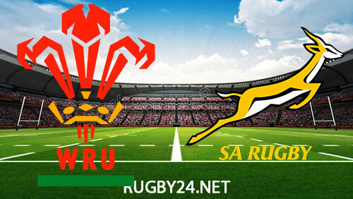 Wales vs South Africa 19.08.2023 Rugby Full Match Replay Summer Nations
